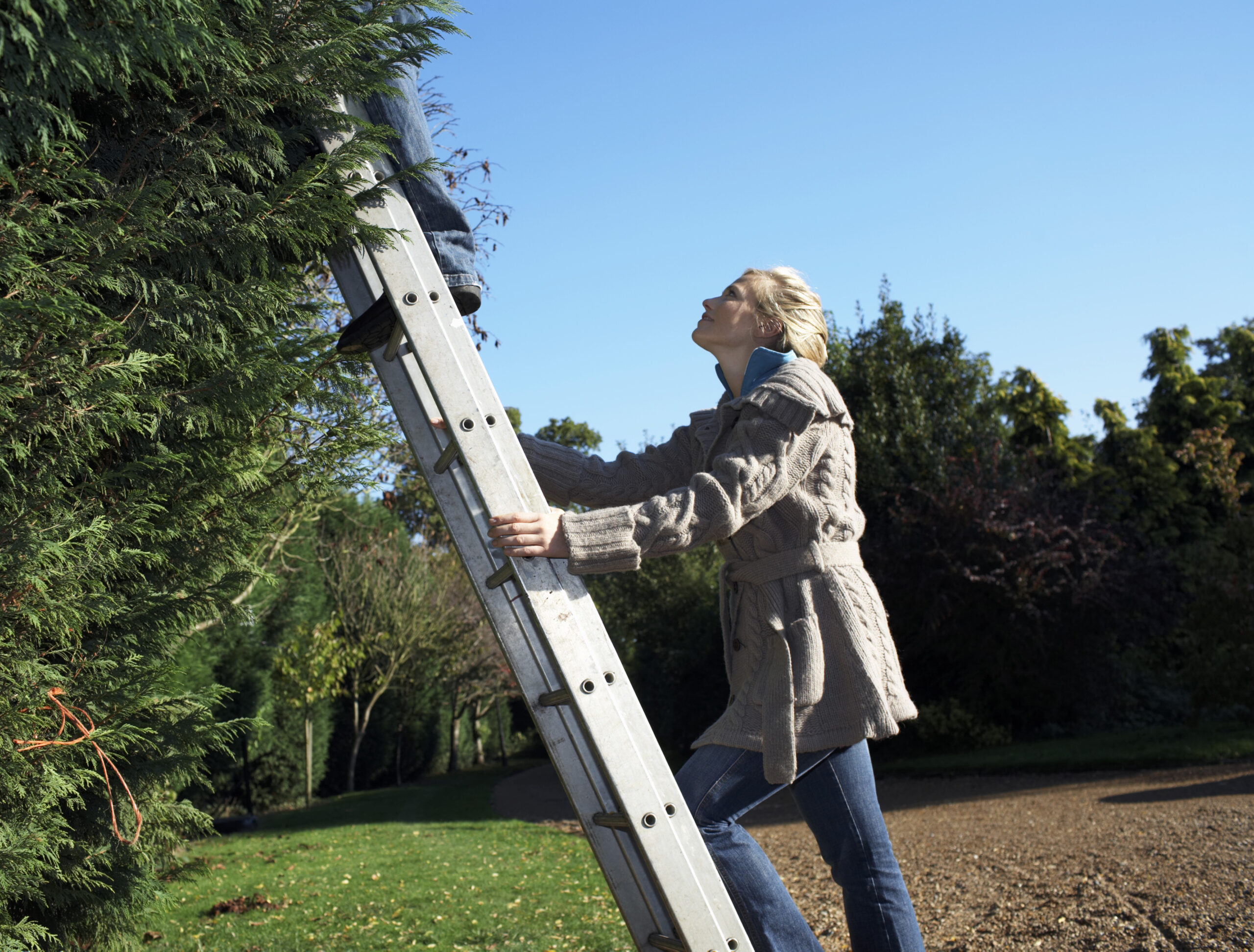 How to Hold a Ladder