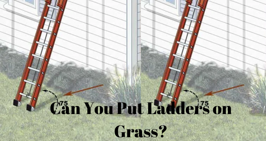 Can You Put Ladders on Grass?
